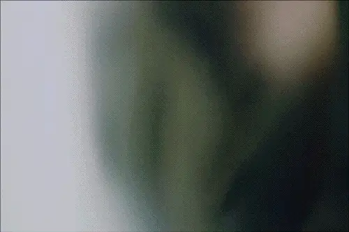 knock knock gif