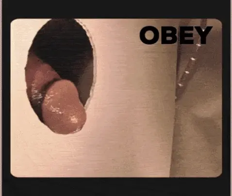 obey phallus
