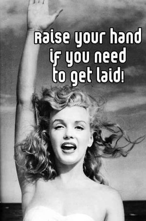 and not just laid..but in the rawest sense of the meaning of FUCK