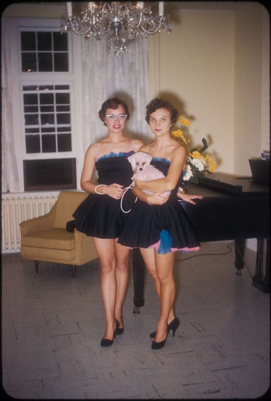 Vintage Leg Candy