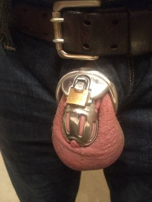 It's trying to get hard this morning.