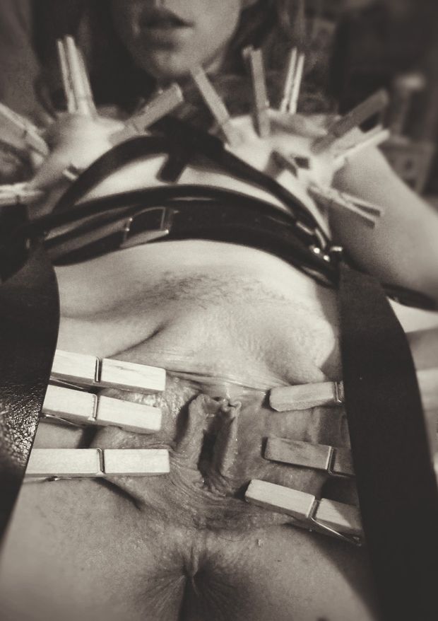 Pussy held open with clotthespins