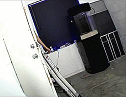 sexy slut sasha grey dressed like slut