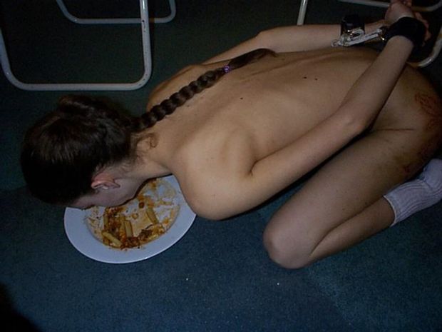 perra comiendo