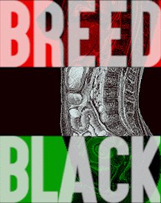 I, too, someday =))!