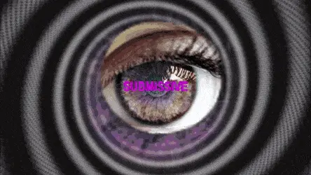 SLHO GIF