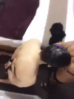 Look No Hands.