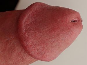 only a little pre cum - me