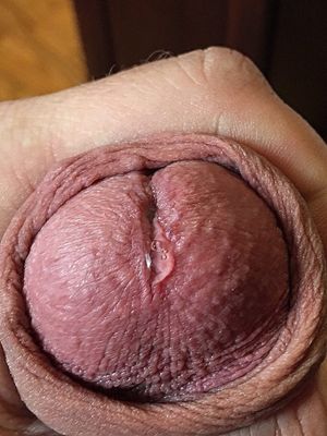 Precum...