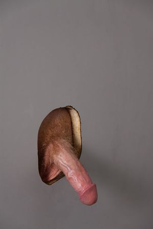 Nice cock waiting to get sucked