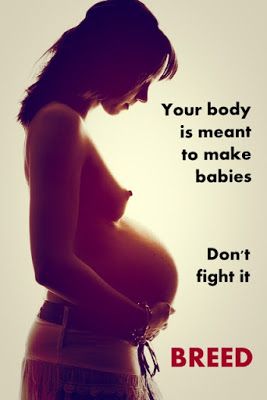 Don't Fight It