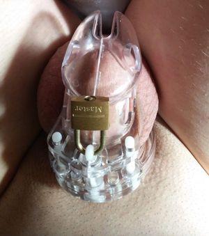 cuckoldtodd Picture