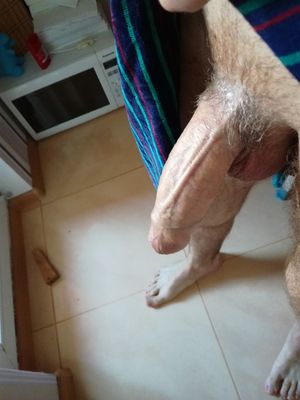 this monster's growin' bigger and bigger...