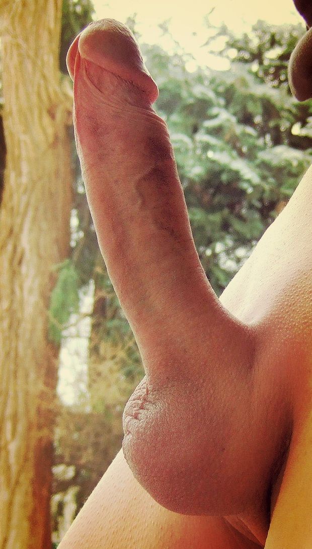 Hard cock