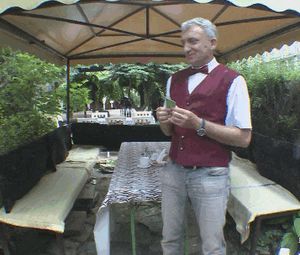 Redhead jumping tits #2