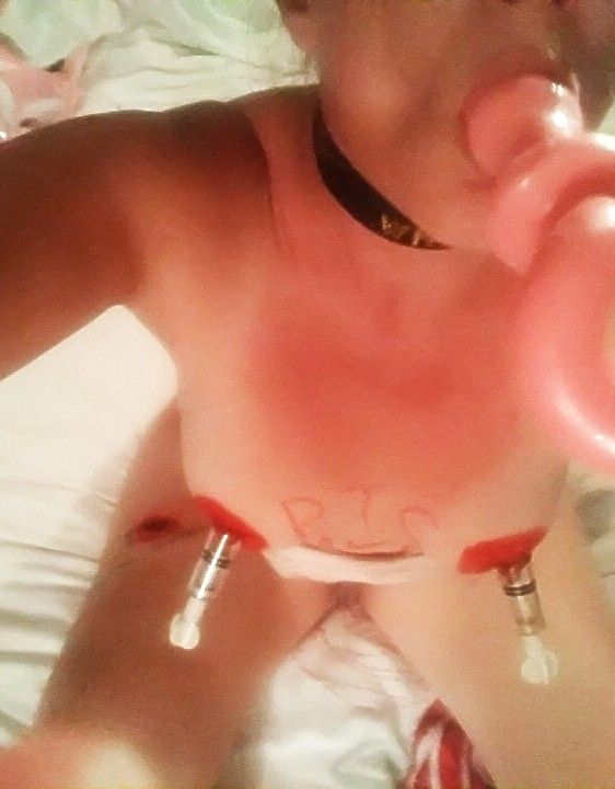 Suck that pigtail clean like a good cunt