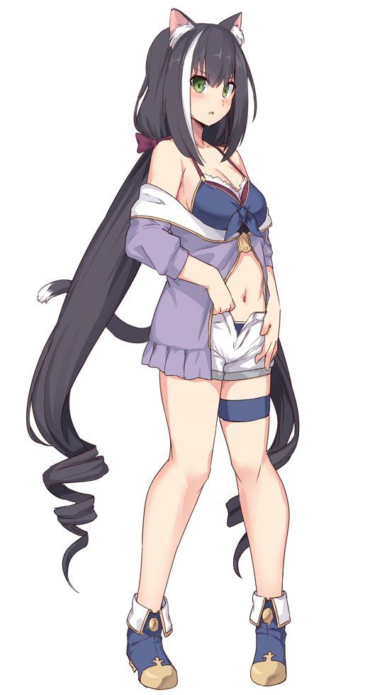 princess connect! princess connect! re:dive kyaru (princess connect!) shiseki hirame