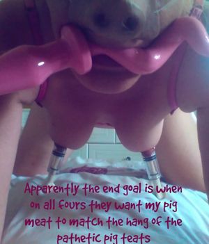 Stretching the fat fuckpig clit and lips. Target goal