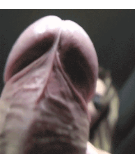 Sexy shemales offering her cock to you