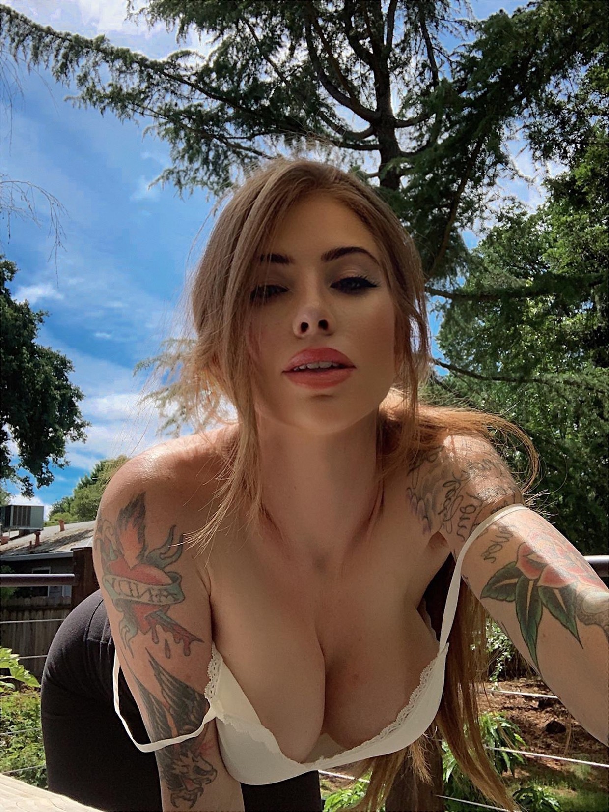 Dd