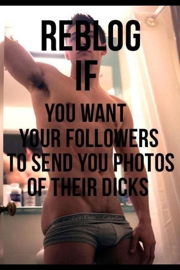 Send me dick pics