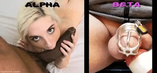 Alpha cock vs Béta in chastity