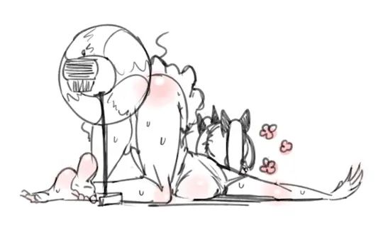 Ecchi