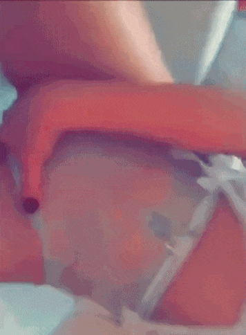 SC Slut