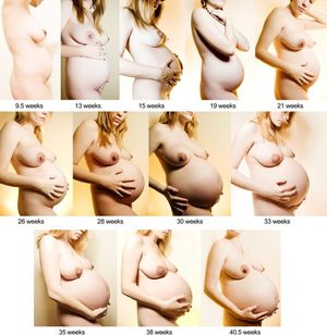 Hot pregnant progression. Which week would you choose?