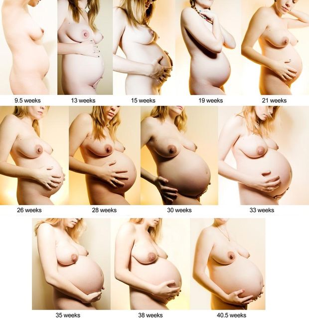 Hot pregnant progression. Which week would you choose?