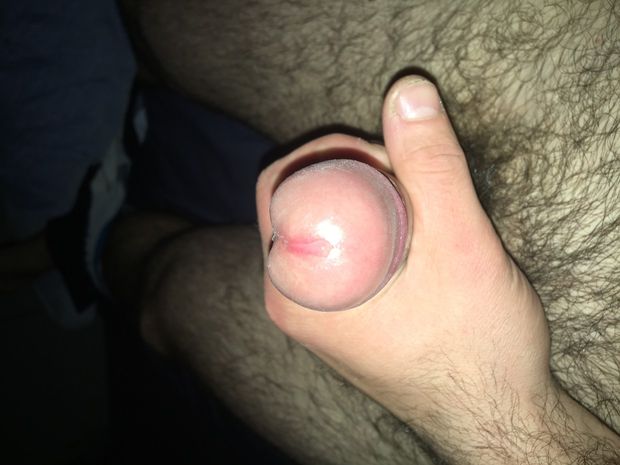 Penis kutas