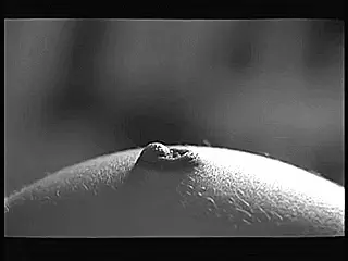 after your feminization the only erection you can have