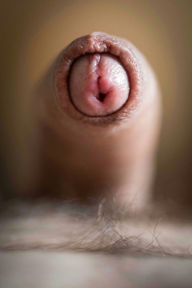 CockArt..