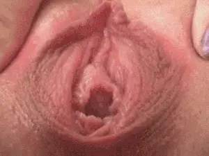 Beautiful Throbbing Pussy.