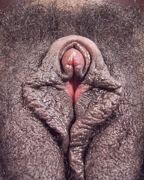 Hot pussy. Suck that big pink clitoris.