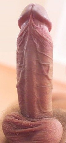 Cock