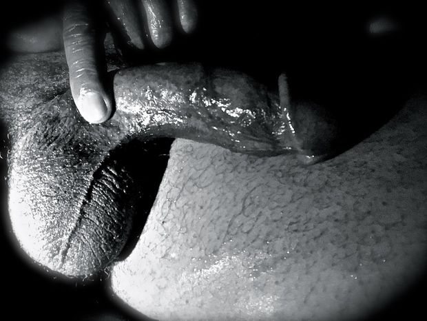 My B&W Cock