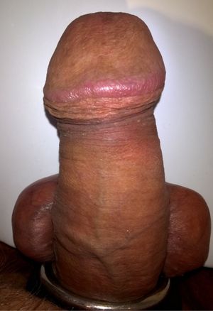 Big cockhead is waiting for your asshole