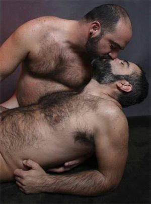 Passionate hairy guys