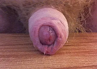 I'm cumming...