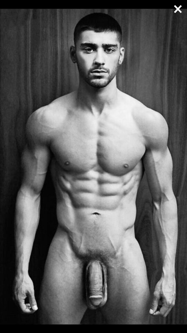 Zayn Malik big dick