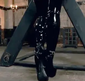 Ass