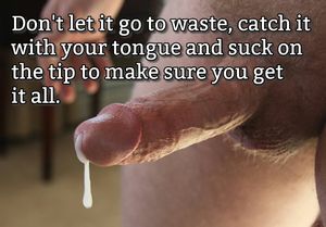 That looks delicious