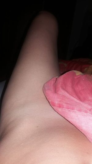 Pussy under the blanket