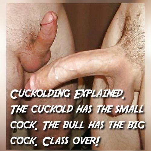 cutie sex wife pussy labia cuckolding
