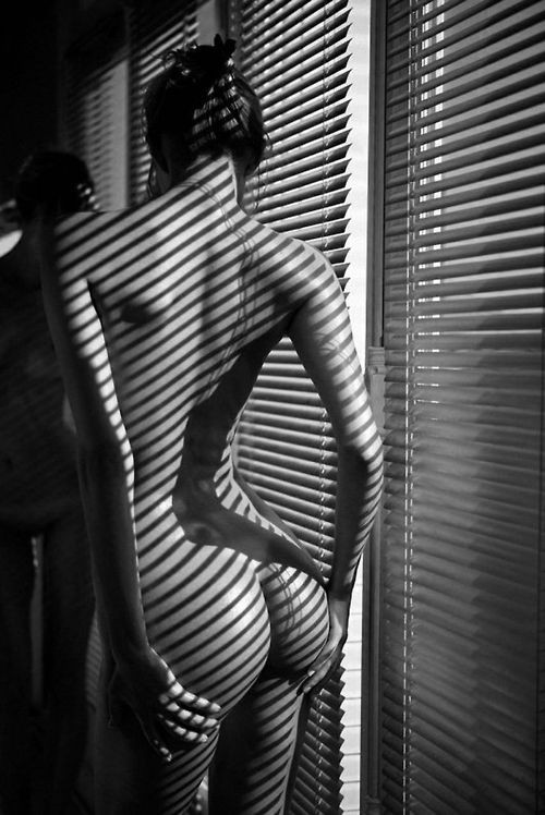 Contours and shadows