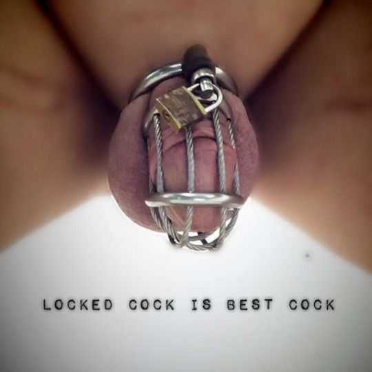 locked cock is best cock