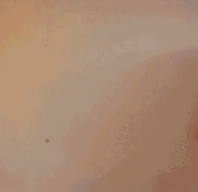 Sexy Flash