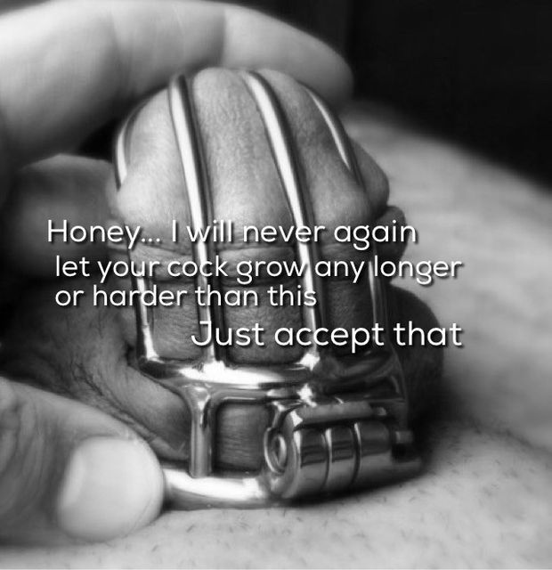 chastity cage