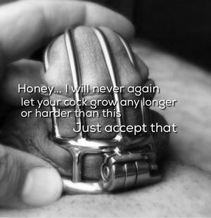 chastity cage